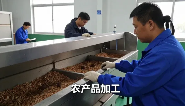 从询价到验收：农产品加工蛋制品加工工艺全流程